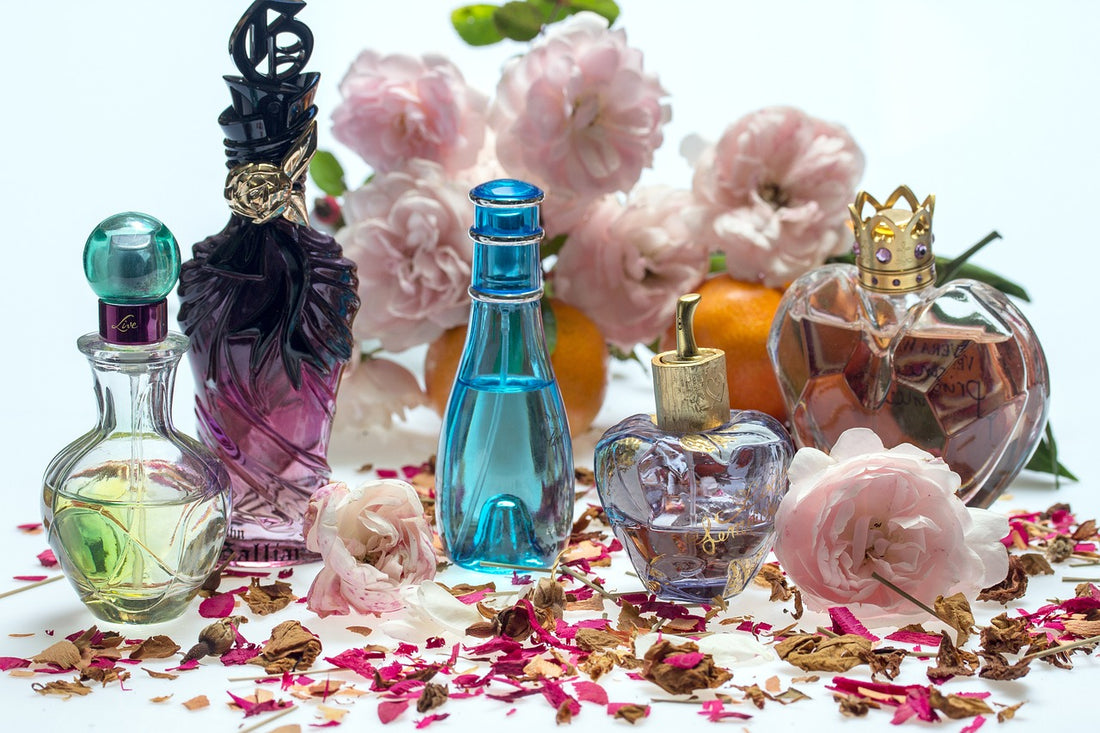 How to build a perfume collection in 2023